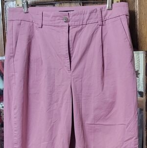 🔥🔥🔥Express High Waist Pink Pants Size 10